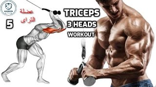 triceps 3 heads workout |  اهم تمارين عضلة الترايسبس || استهداف رؤوس عضلة التراى الثلاثة بالكابل