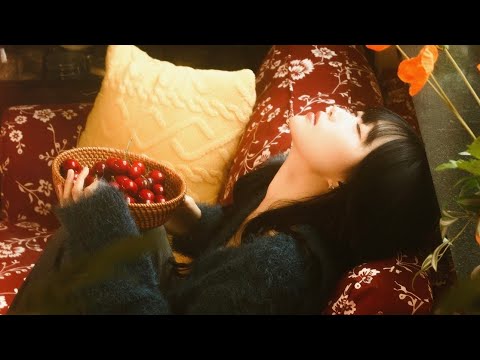 2600917 단콘 티켓 오픈! thumbnail