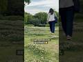 अब खुशी किसी और से नहीं, खुद से मिलती है 🌼#metime #japanvlog #ytshorts #shortvideo