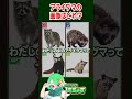 アライグマの画像はどれ?【 #全国一般人常識チェック 】#クイズ
