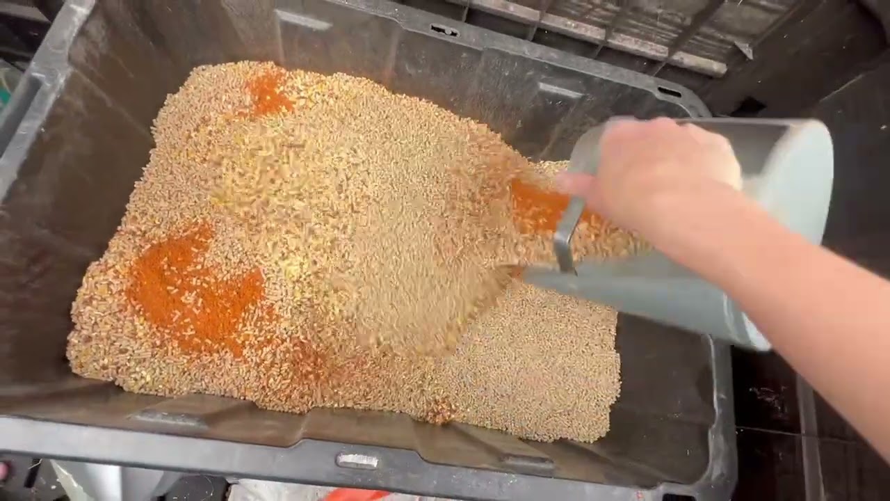 Review- Chicken de-wormer Chili flakes