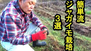 簡単流自然農法　ジャガイモ栽培 発想の転換