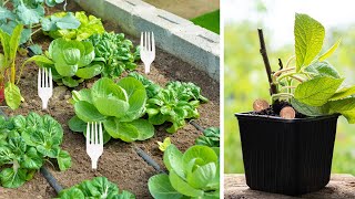 10 Unusual Gardening Hacks That Actually Work