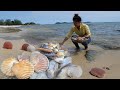 Survival Beach - Cooking Alien Sea Clam