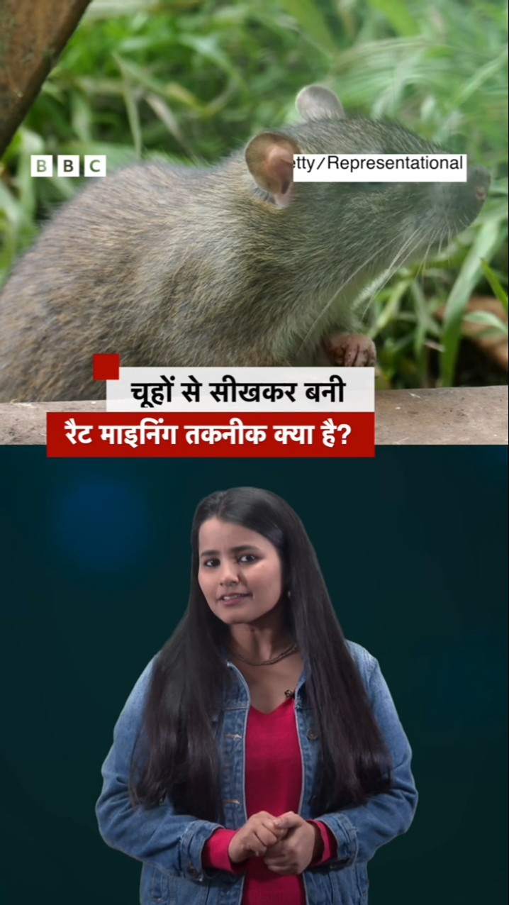 Rat Hole Mining तकनीक के बारे में जानिए जो इंसानों ने चूहों से सीखी और किए कई कमाल | (BBC Hindi)