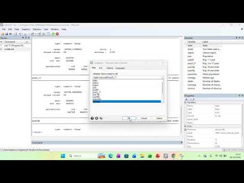 How to Create a Codebook in Stata Using Commands & Point-and-Click Tools
