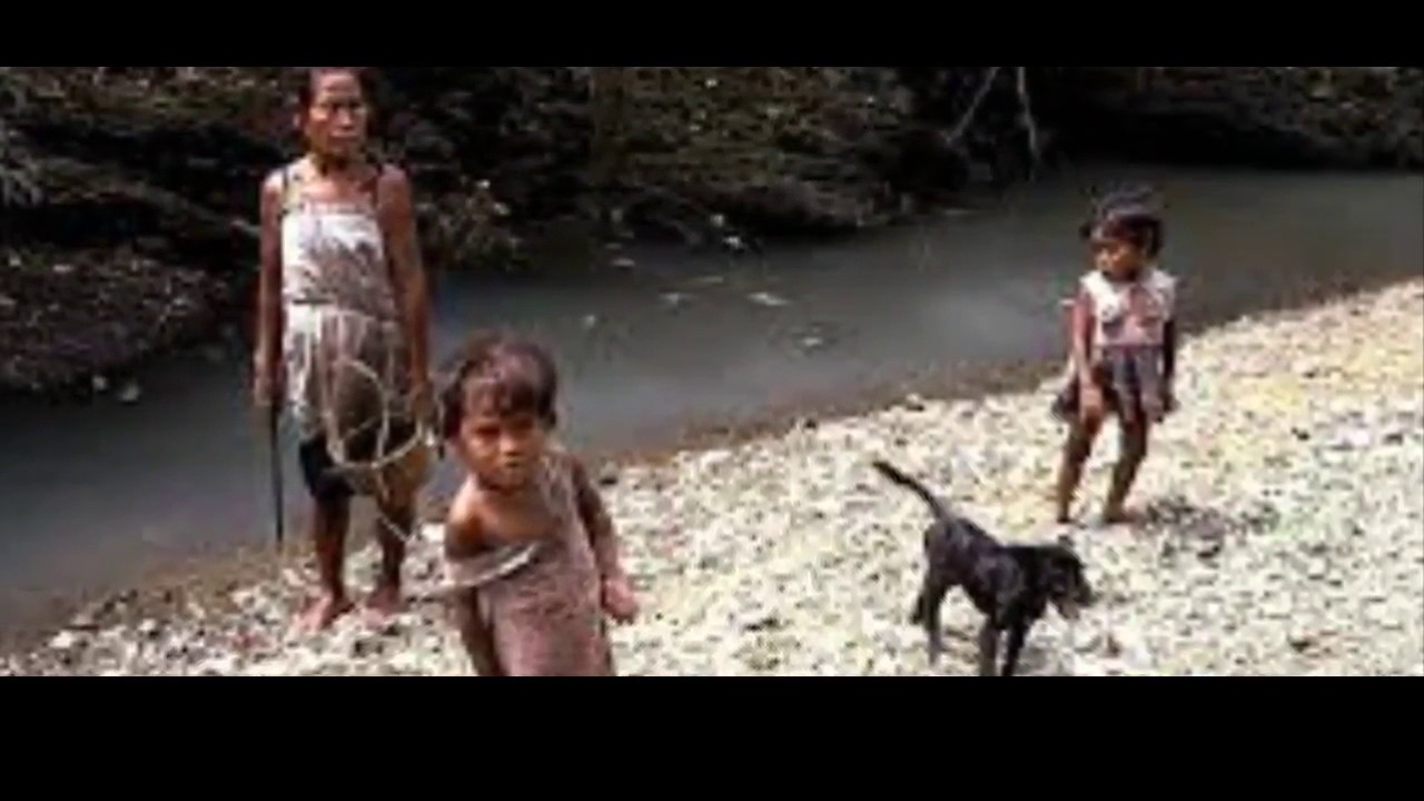 Penampakan Suku Mante, Suku Primitif Dari Pedalaman Hutan Aceh YouTube