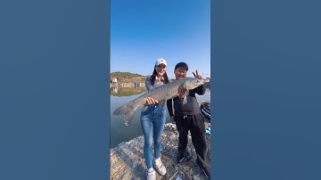 tiểu vũ xinh đẹp và thằng em dại bị mẹ gọi đi mua 2 con cá về ăn lẩu phần 2 #fishing #cauca #short