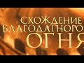 Схождение благодатного огня - нтв - 01.05 2021 год.HD MEDIUM FR30.