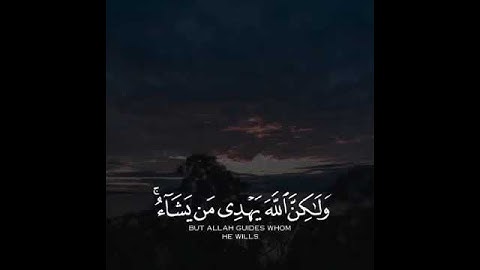 قرآن كريم بصوت القارئ رعد الكردي تلاوة مطمئن ارح قلبك 💚🌿حالة واتس إسلامية /استوري انستغرام