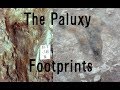 Do the Paluxy River Tracks prove Dinosaurs and Humans co-existed?