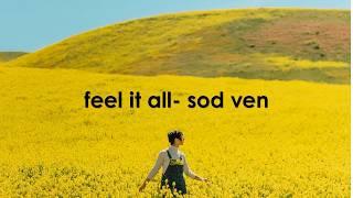 Feel It All-Sod Ven