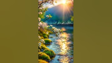 لاتنسى تكتب شيء تؤجر عليه 🤍 #قران_كريم #اكسبلور #المصحف #راحة_نفسية #حالات_واتس #تلاوة_خاشعة