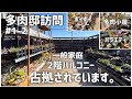 【多肉邸訪問】多肉植物の為にバルコニーを作り様々な品種を育成するお家。