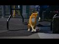 Quarantine Zone | Is there something wrong with our cat?