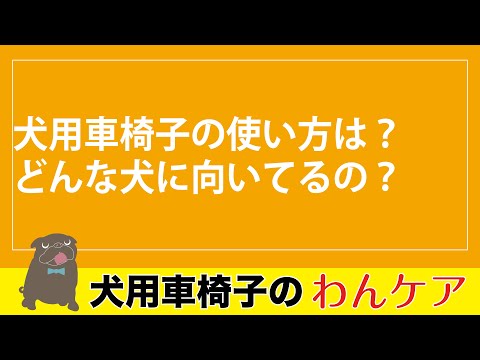 犬用車いす 使い方 動画サムネイル