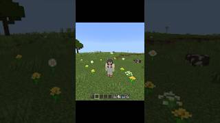 Evokers Hate Colour Blue?! #minecraft #minecraftshorts
