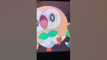 🤣Poor ROWLET!!! #pokemon #anime #shorts