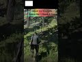 Lone Rider Ambushed in the Wild | Red Dead Redemption 2