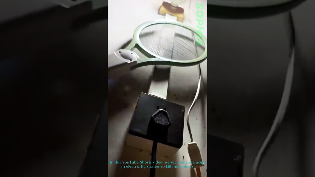 Using Electric Fly Swatter to Kill Mosquitoes: How It Works