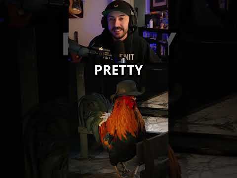 قم بترقية الديك الخاص بك  