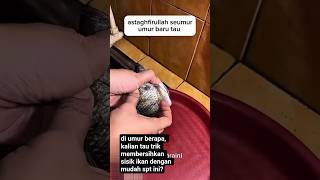 practical tips for cleaning fish scales#fish#animals#shorts#viral