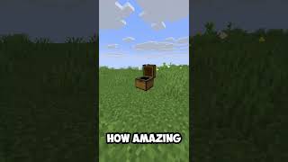 Netherite horse armor in a chest