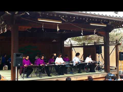 【若いって素晴らしい】大正琴奉納演奏 道明寺天満宮 梅まつり