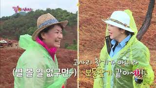 박원숙의 같이 삽시다 - 저녁 설거지배 고사리 끊기 대회!  20180602