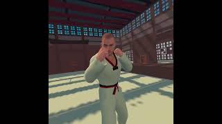 Little judo VR experience screenshot 5