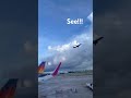 ✈️✈️✈️✈️