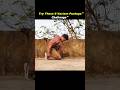5 Hard 🥵 Pushups Variation Challenge💪| #fitness #motivation #challenge #pushups #shorts #youtube