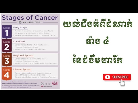 ដំណាក់កាលទាំង ៤នៃជំងឺមហារីក 4 stages of Cancer | Dr. Choung Savoeun Ep5. #CancerStages