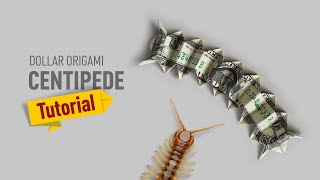 How to Fold a Dollar Bill into a Centipede | Money Origami Scolopendra
