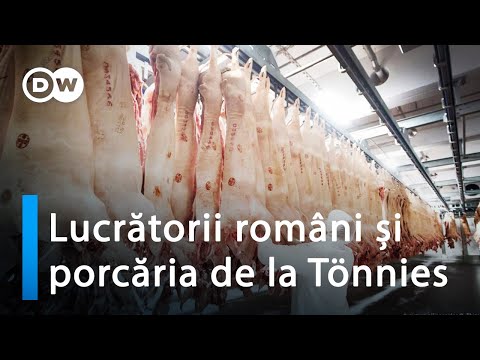 Lucrătorii români și porcăria de la Tönnies