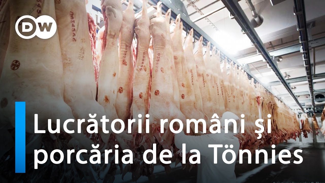 Lucrătorii români și porcăria de la Tönnies