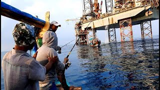 Ganasnya Predator Laut Karawang~ Panen Ikan Jenahak‼️‼️