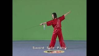 Wushu Elementary Routine (Part 4) : Basic movements of JianShu Net Worth