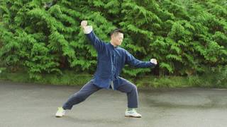Chen Tai Chi First Form & Cannon Fist - Chenhan Yang Lao Jia Yi Lu 陈氏太极老架一路 74 & Er Lu, 炮捶 俗称二路43