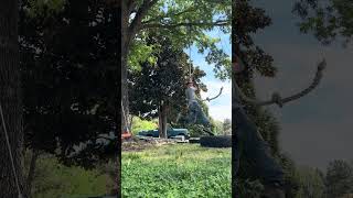 Fun Ninja Agility Challenge!!!😱🤯💯#fun #new #ninja #agility #insane #shorts #viral #parkour #god ￼
