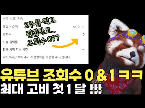 롱폼 유튜브 현실 조회수 0 - x나 빡시게 만들었는데... 대체 왜? (오늘 판다의 움직임이.. 좀.. ;;ㄷㄷ)