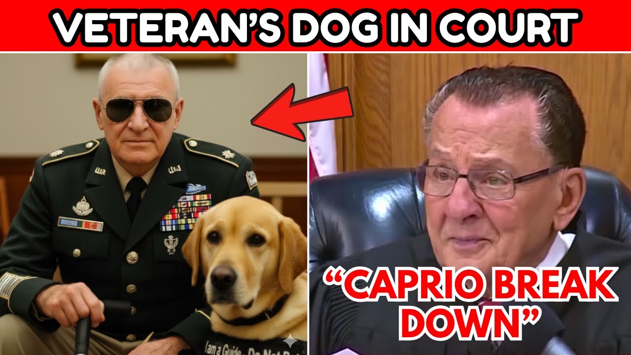Blind Veteran's Guide Dog Moves Judge Caprio to Tears – The Outcome Inspires Millions