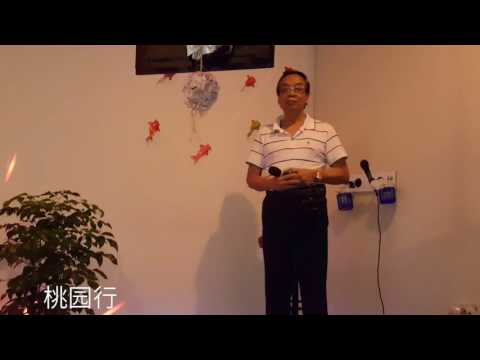 桃园行 - 罗文