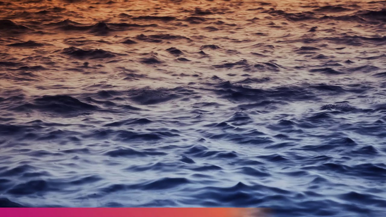 District Wharf Hype Video - Food 1