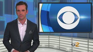 Joshua Tree Woman Dies After Being Mauled By 4 Pit Bulls