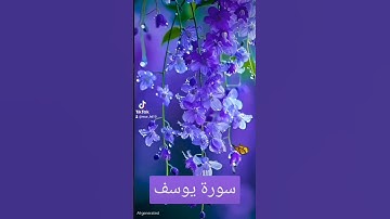 سورة يوسف #quran #اكسبلور #المصحف #duet #دويتو #لايك #حالات_واتس #العظماء #تيك_توك #صباح_الخير