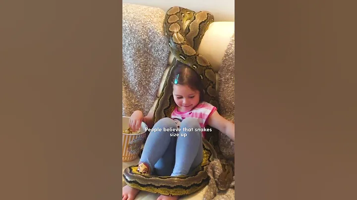 Little Girl Grows Up With Two Python BFFs | The Dodo