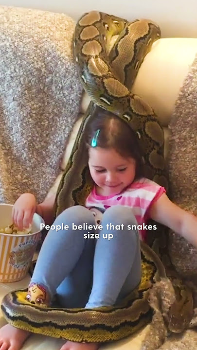 Little Girl Grows Up With Two Python BFFs | The Dodo