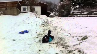 Bobsled fail