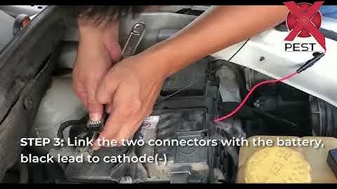 How to install under hood animal repeller? ( Budget Type)
